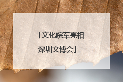 文化皖军亮相深圳文博会
